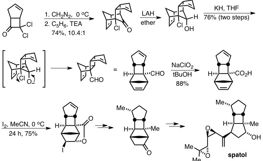 Reaction scheme 5